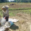 Bantuan Pompa Air dari Kementan