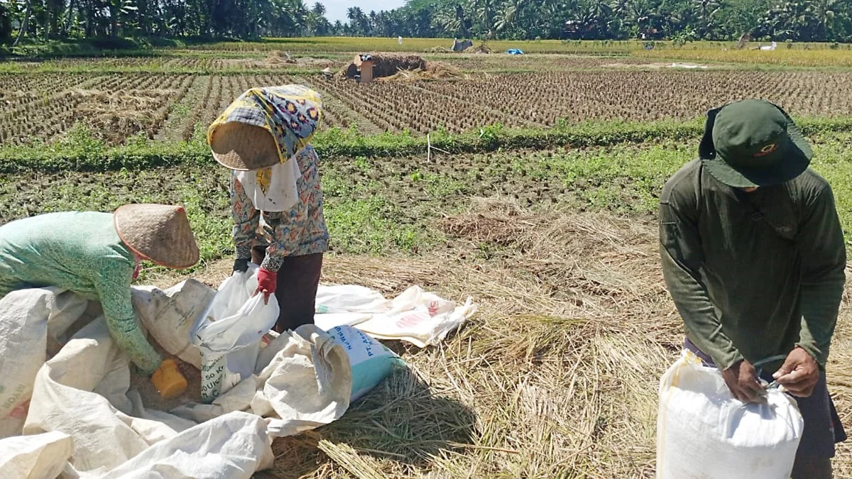 Bantuan Pompa Air dari Kementan