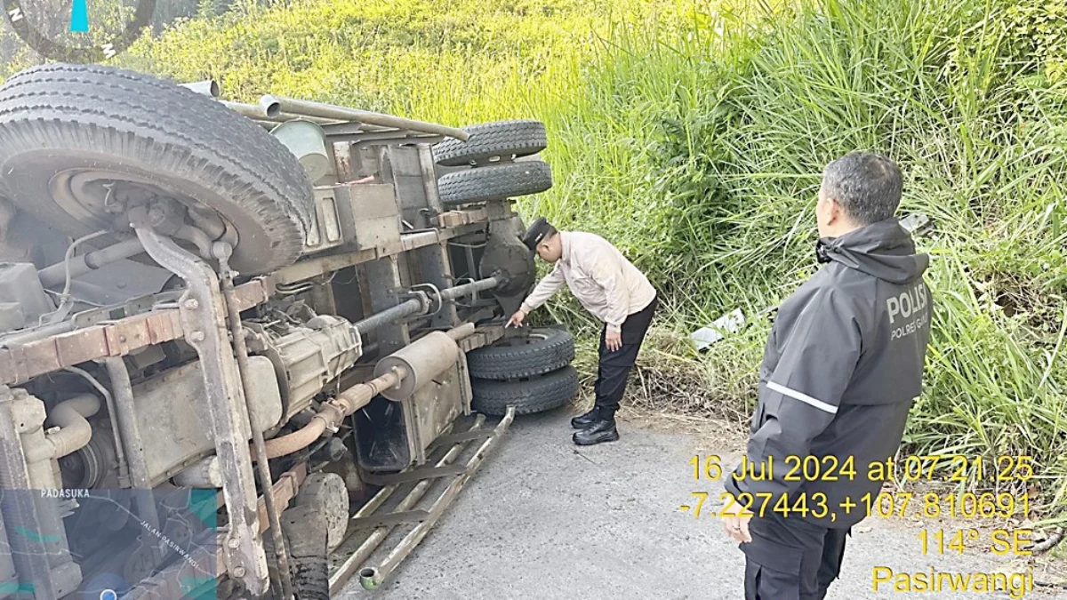 truk pengangkut pakan ayam terguling