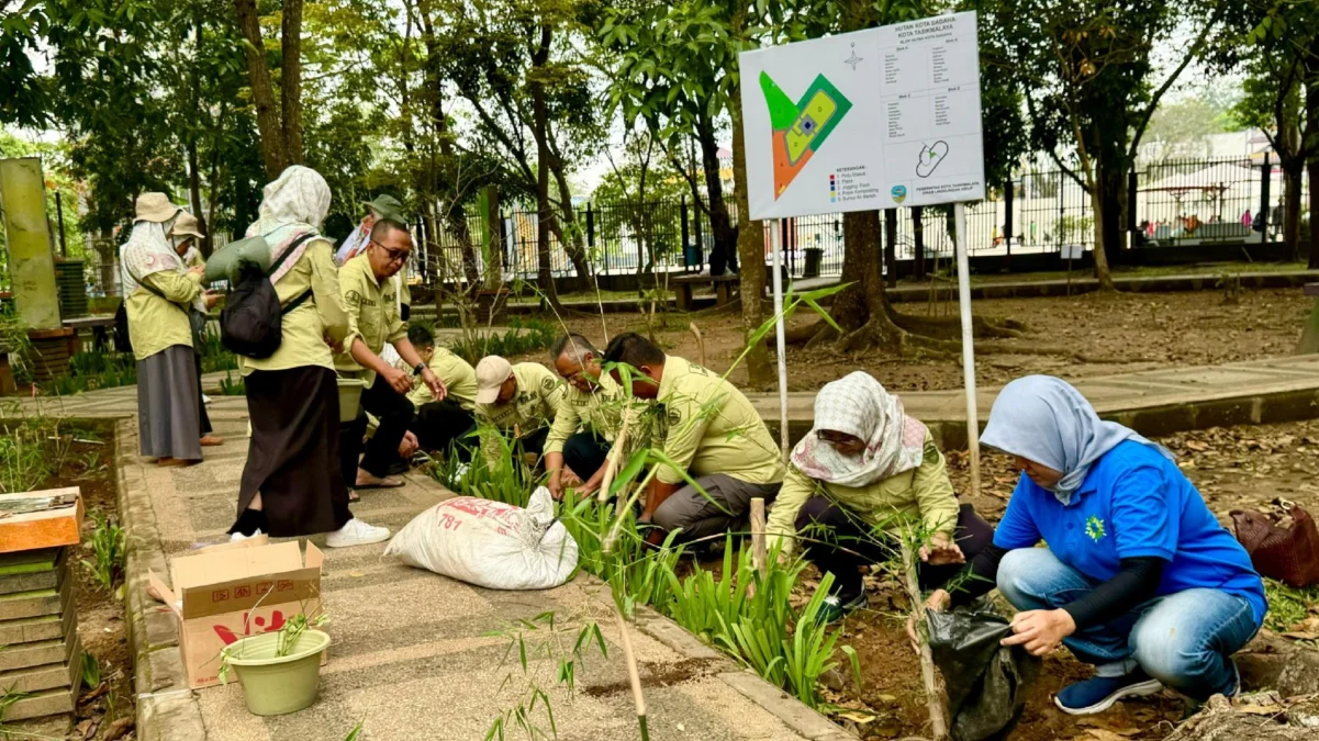 Dadaha dijadikan kebon awi, manfaat pohon bambu, hutan kota dadaha