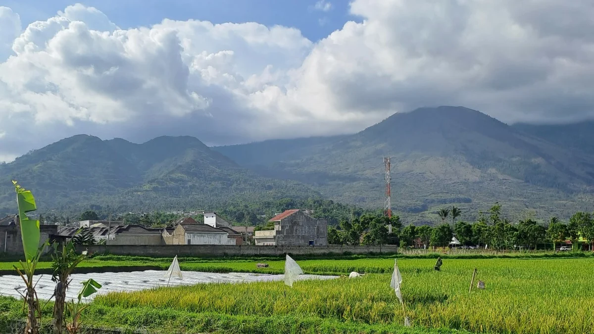 Gunung Guntur Kabupaten Garut