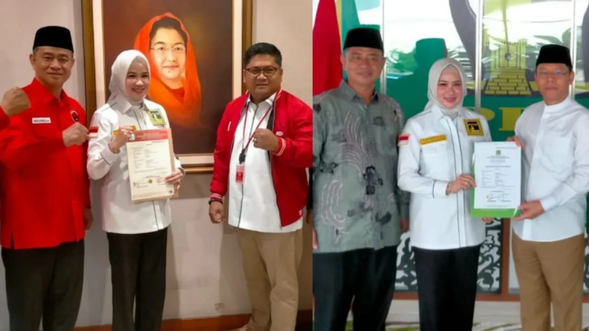 Nurhayati Muslim, Pilkada Kota Tasikmalaya, PDI perjuangan dan PPP