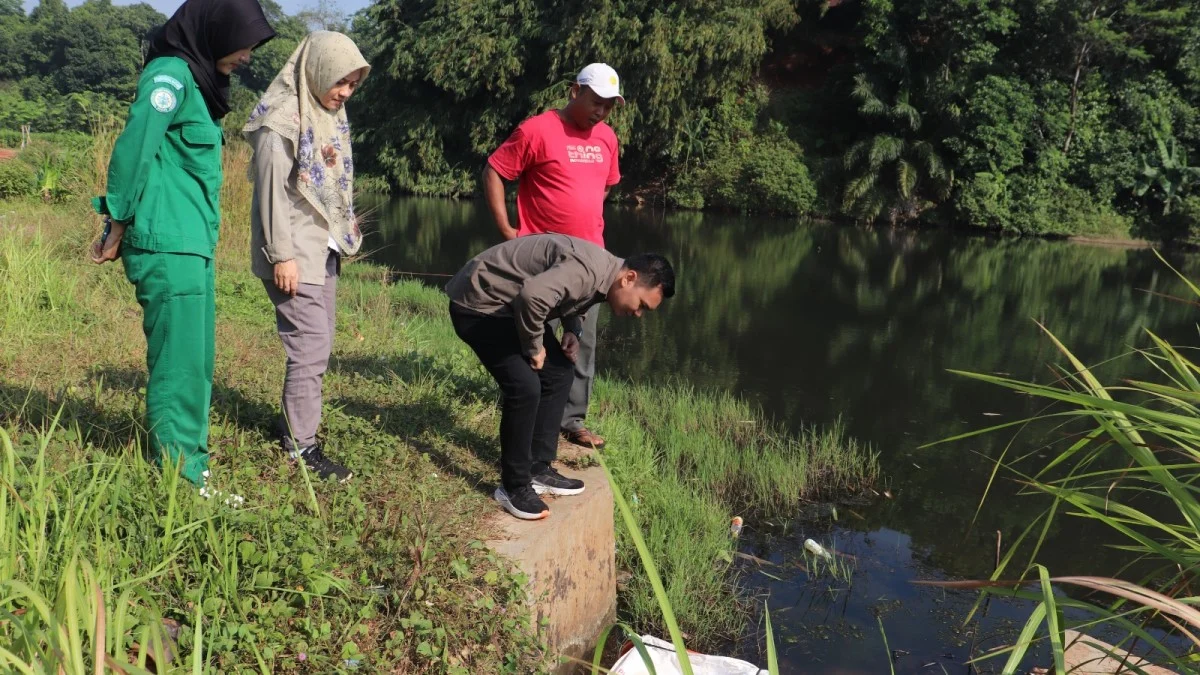 Pompanisasi di Cileungsi