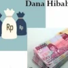 dana hibah kabupaten ciamis