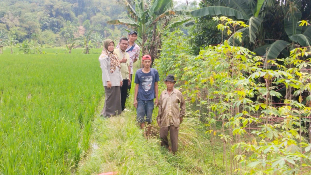 Desa Mekarsari