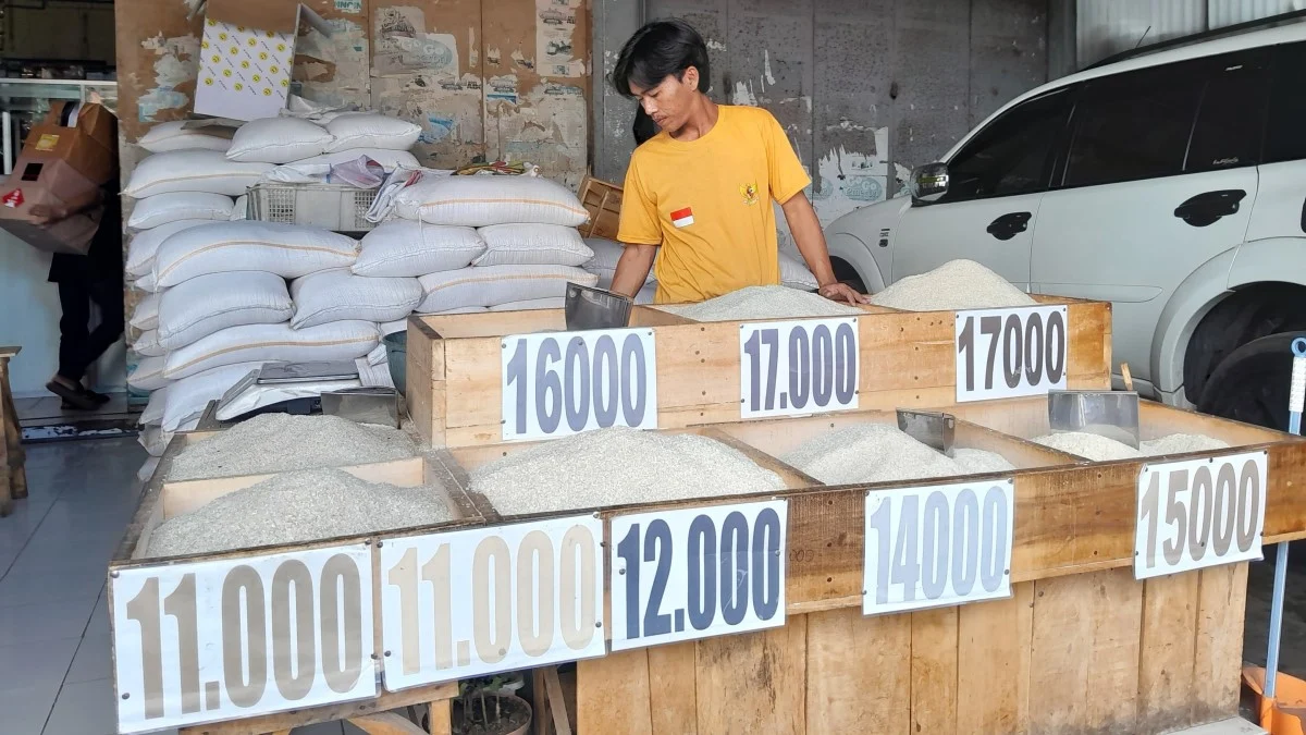 harga beras di garut