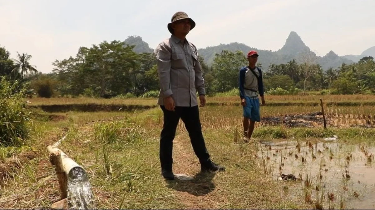 bantuan pompa air dari kementerian pertanian