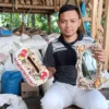 pengrajin kerang laut di kabupaten pangandaran