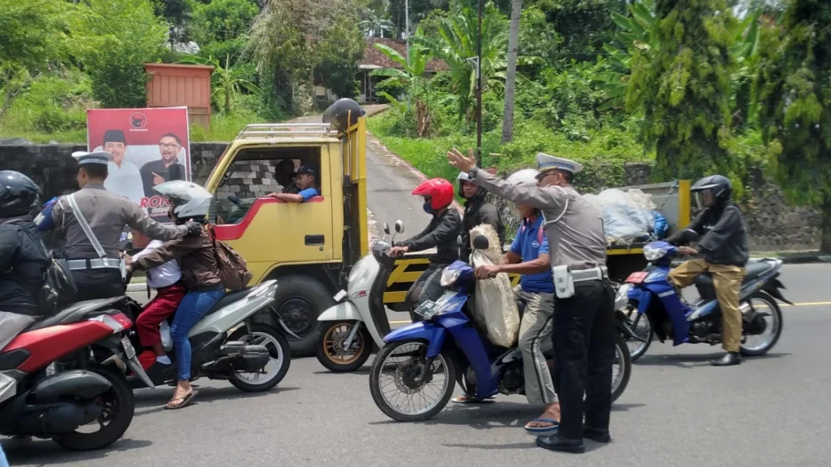 Operasi zebra lodaya