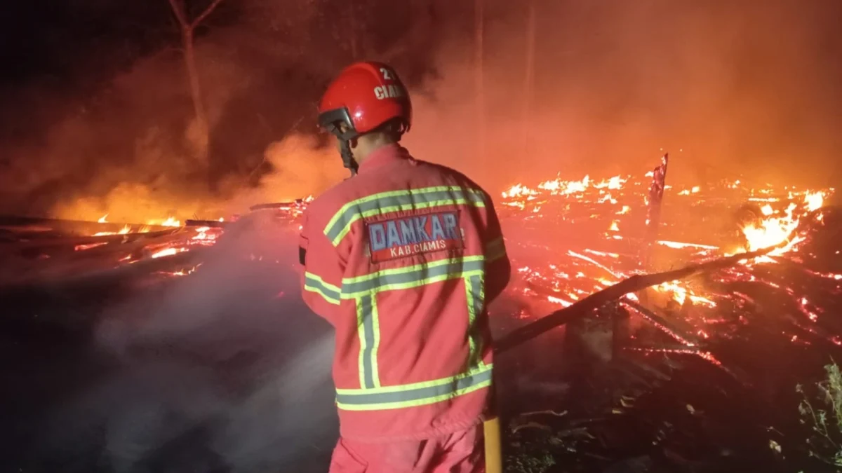 Kebakaran kandang ayam