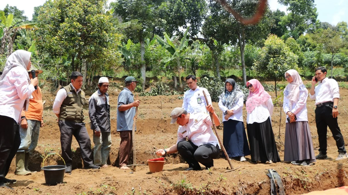 Sekolah Lapang Padi Gogo