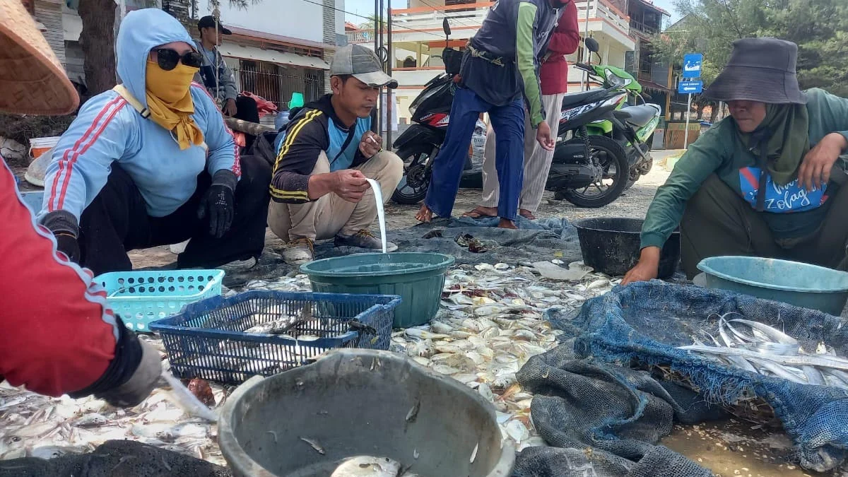 tangkapan ikan