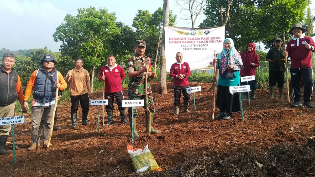 Gerakan Tanam Padi Gogo