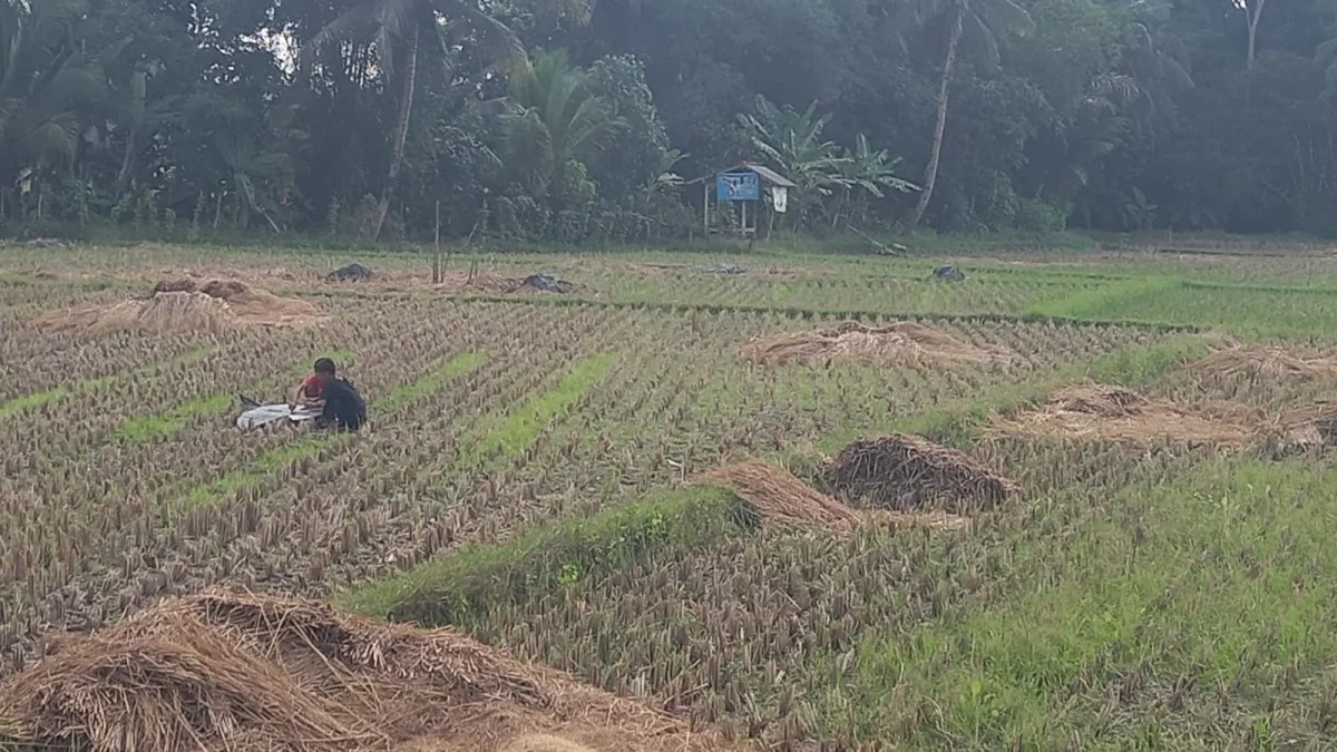 Dinas Pertanian Kabupaten Pangandaran