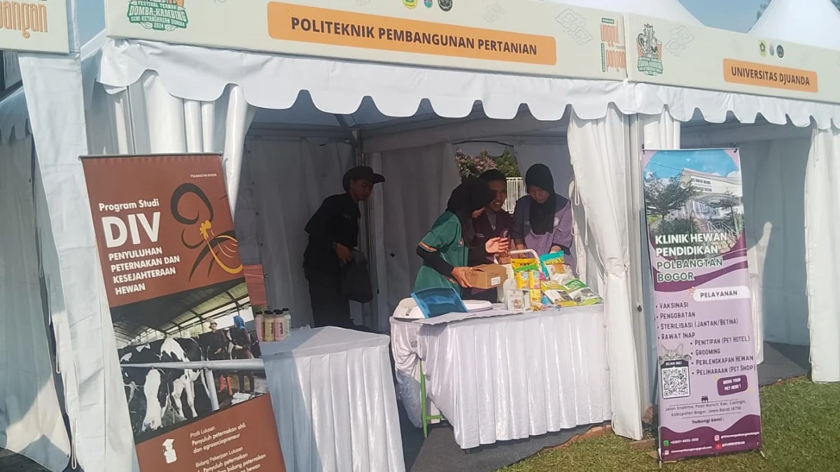 Festival Domba dan Kambing