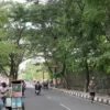 Pohon tumbang, komplek dadaha, antisipasi bencana alm,