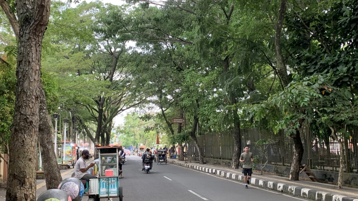 Pohon tumbang, komplek dadaha, antisipasi bencana alm,