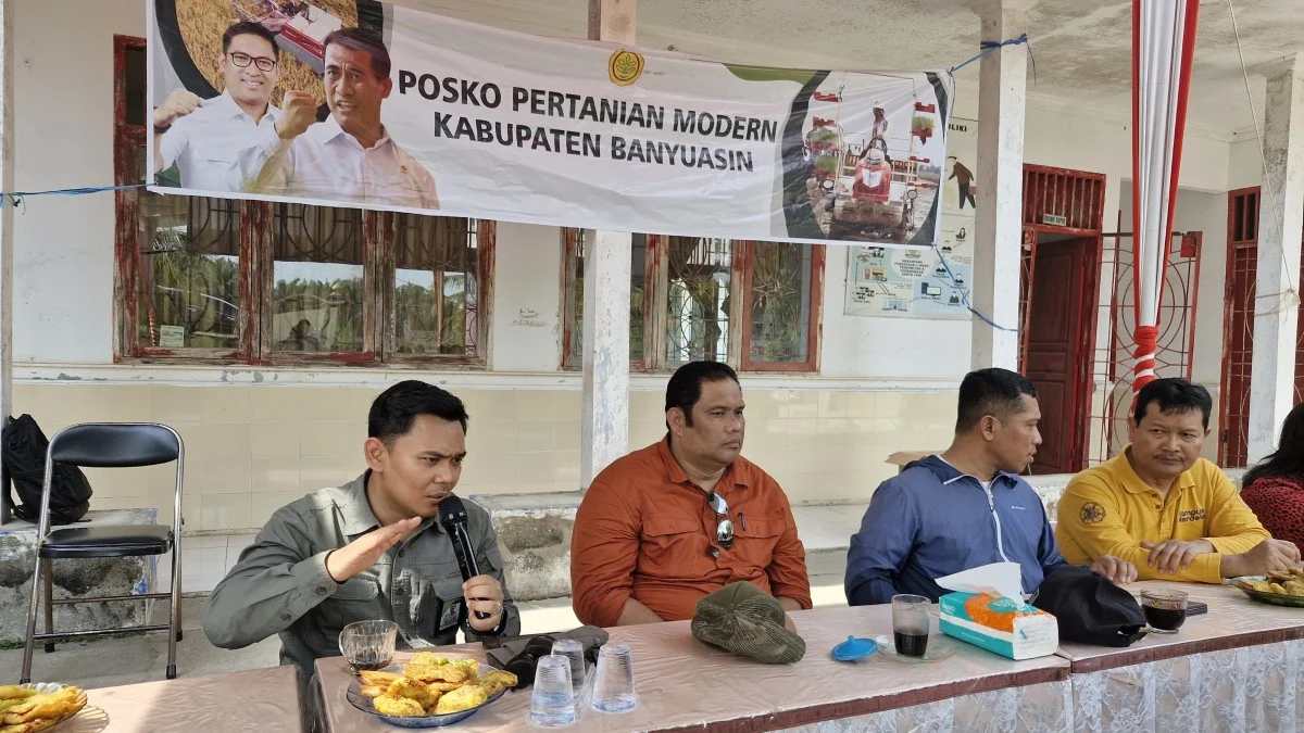 Program Magang Studi Independen Bersertifikat