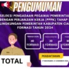 pengumuman seleksi PPPK Ciamis