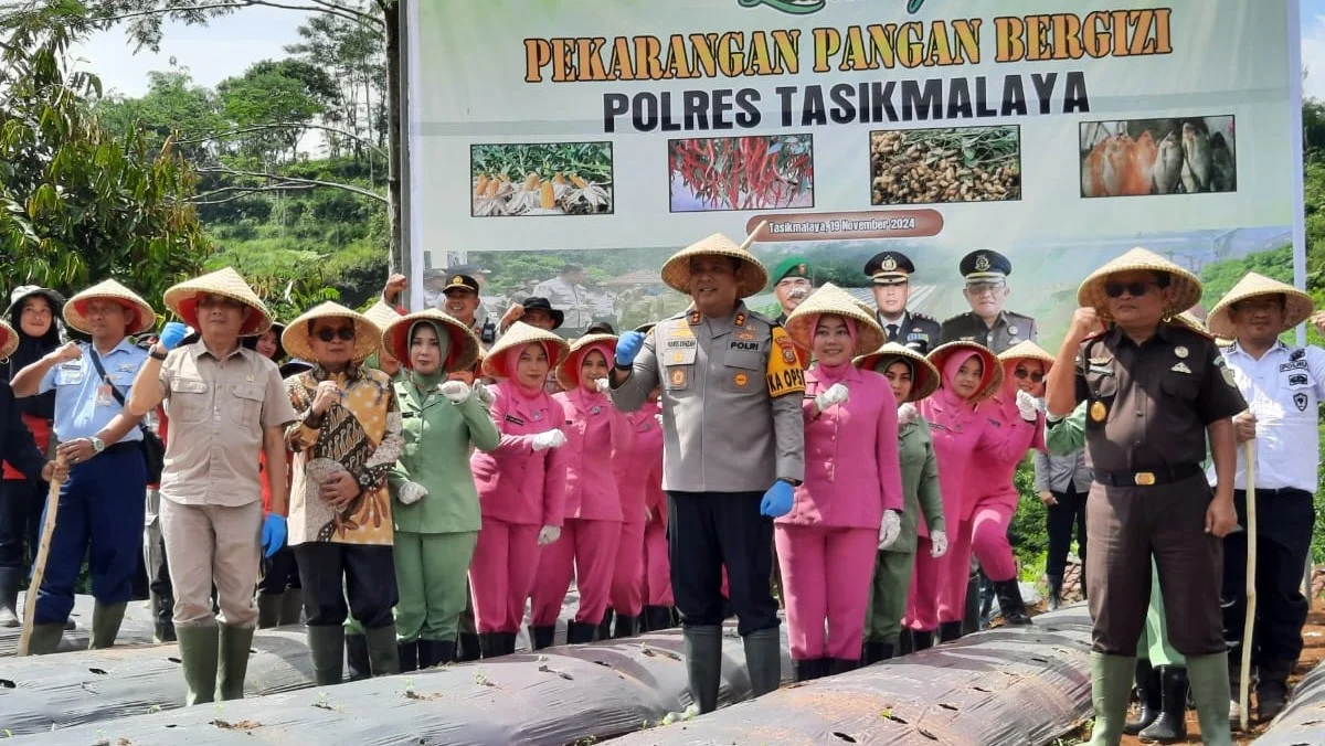 Lahan Pekarangan Pangan Bergizi