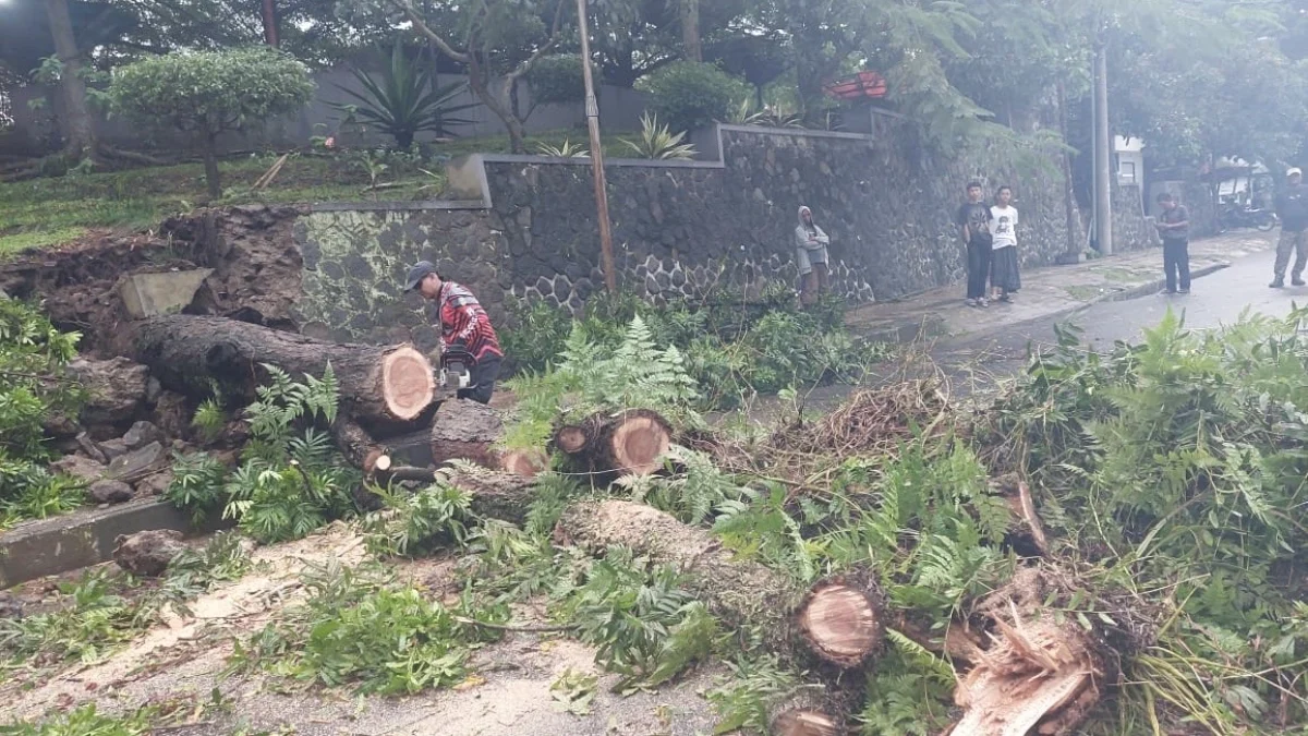 Pohon tumbang taman kota tasikmalaya, penanggulangan bencana alam, cuaca ekstrem hujan deras