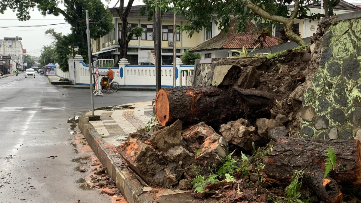 Taman kota tasikmalaya rusak, pohon tumbang bencana alam,