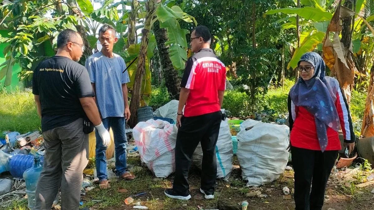 pemberantasan sarang nyamuk