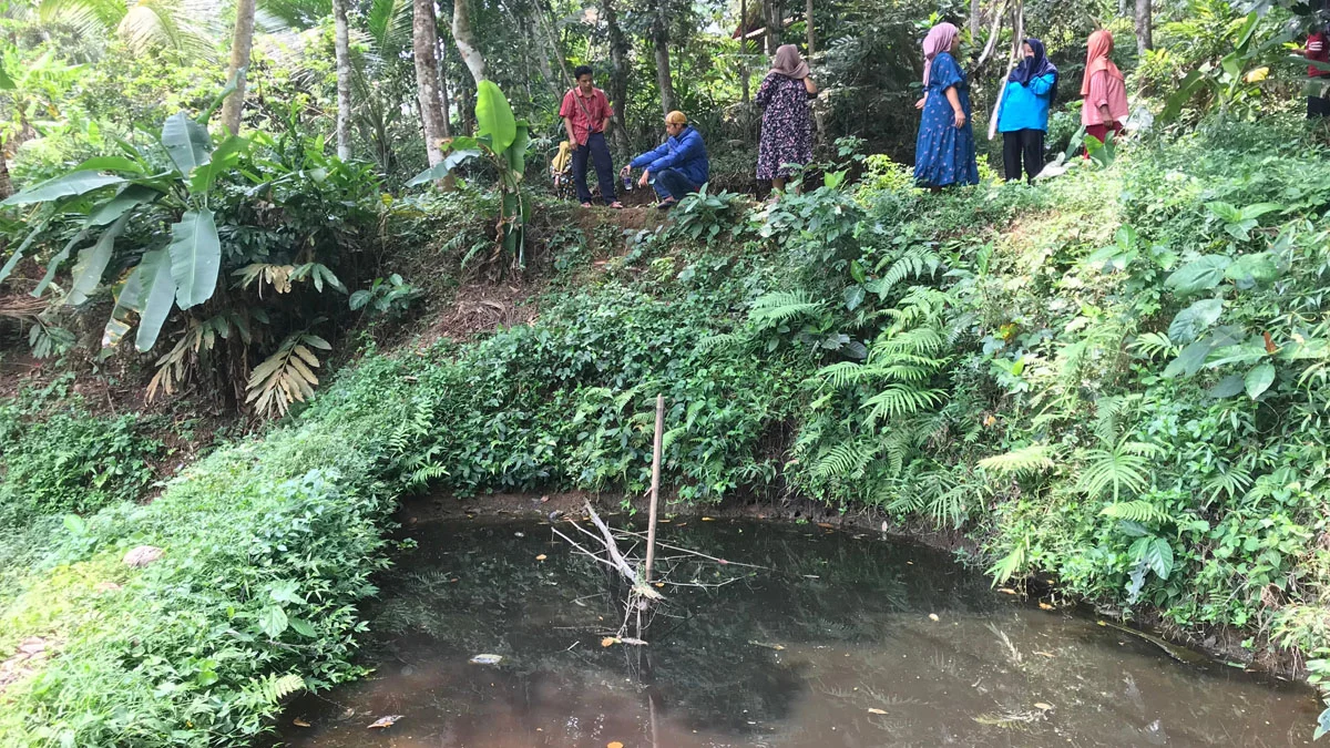 kolam ikan warga tercemar