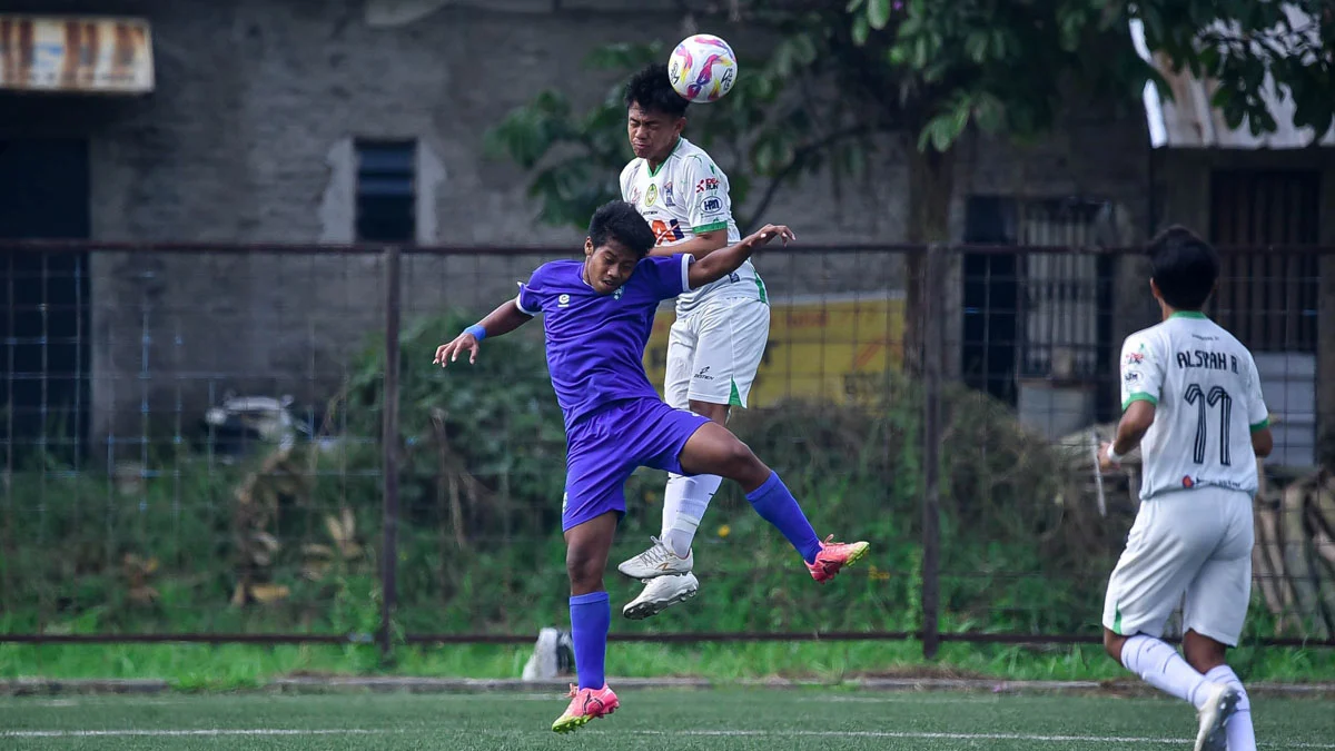 persikotas vs maung anom