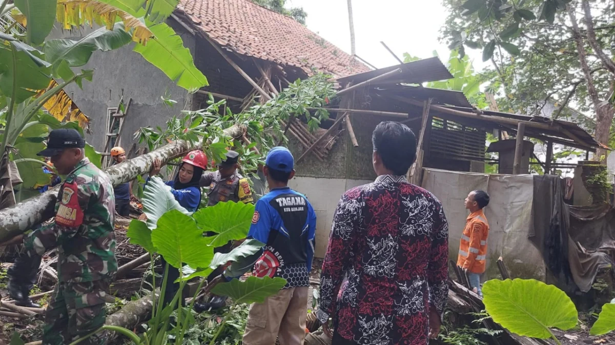 Pohon tumbang menimpa rumah