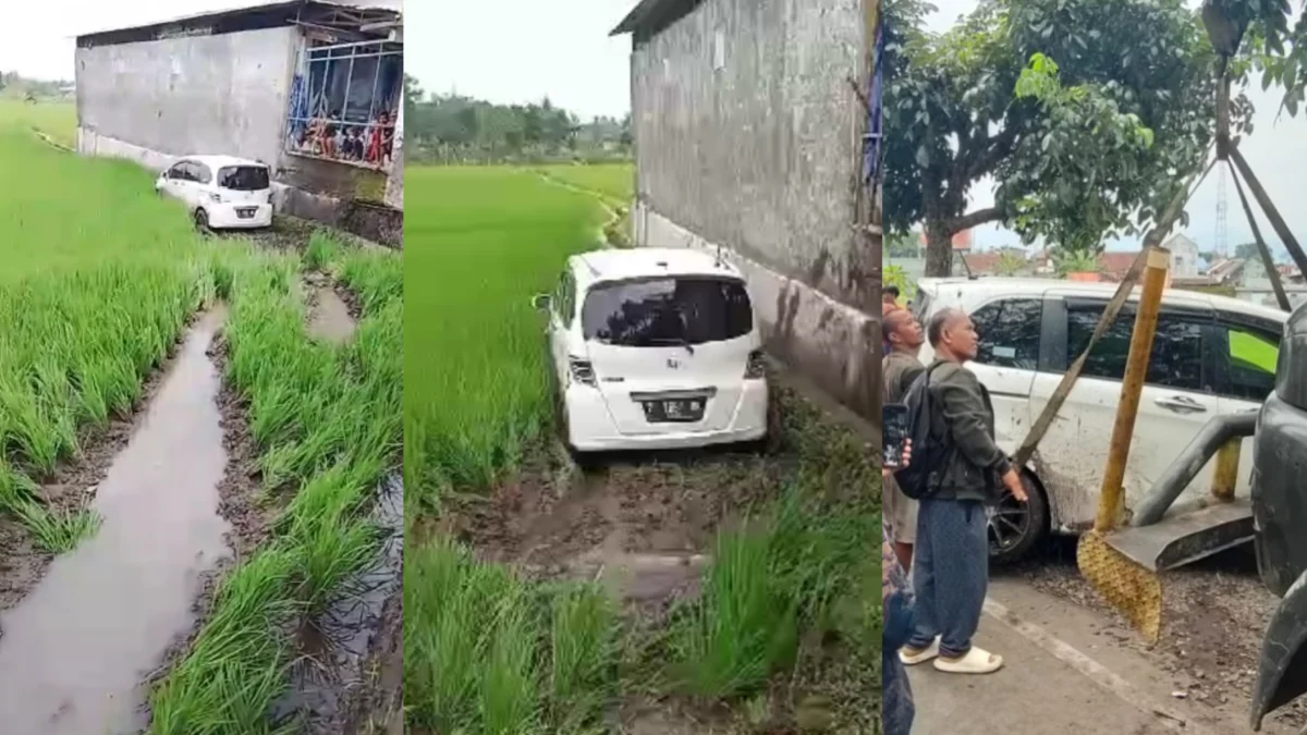 Kecelakaan di tasikmalaya, mobil masuk sawah, pns istri anggota dprd kota tasikmalaya