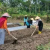 Kelompok Wanita Tani Berseri