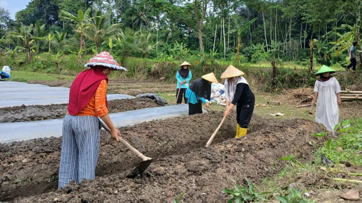 Kelompok Wanita Tani Berseri