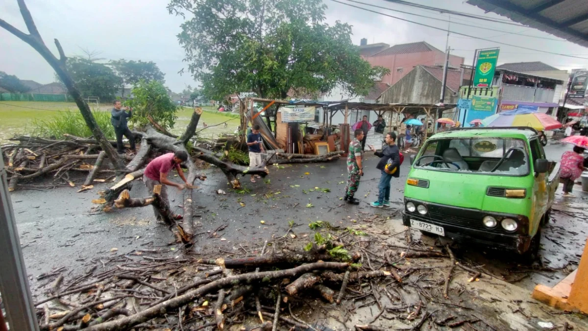 Pohon tumbang menimpa mobil, bencana alam bpbd kota tasikmalaya, hujan deras angin kencang cuaca ekstrem