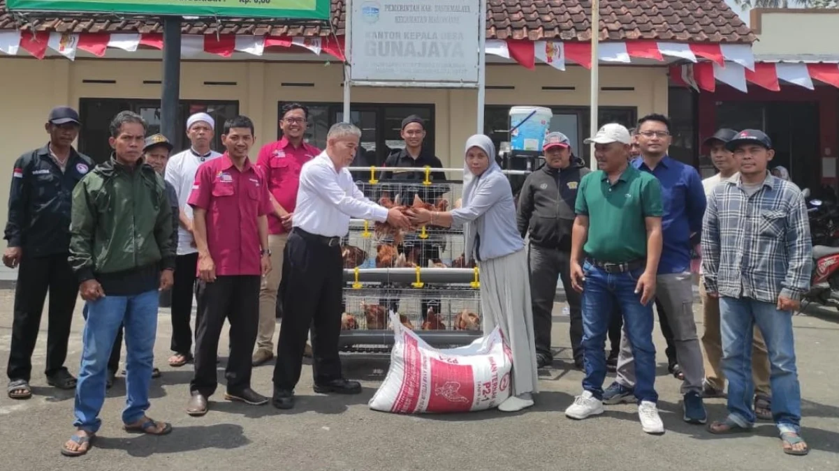 Usaha Ternak Ayam Petelur