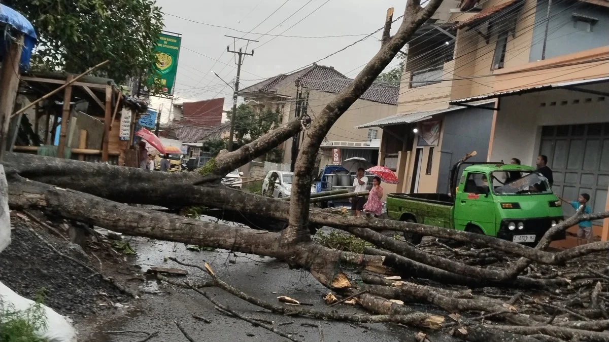 pohon besar tumbang di Jalan Cigeureung