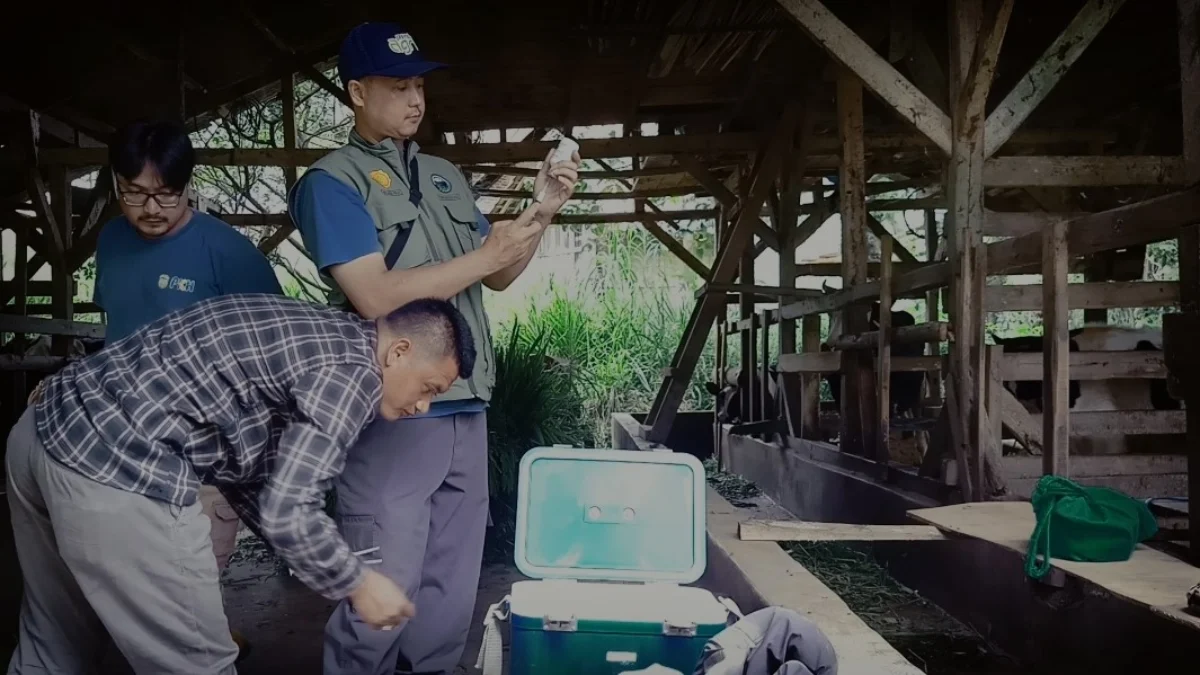 Penyakit Mulut dan Kuku di Kabupaten Tasikmalaya