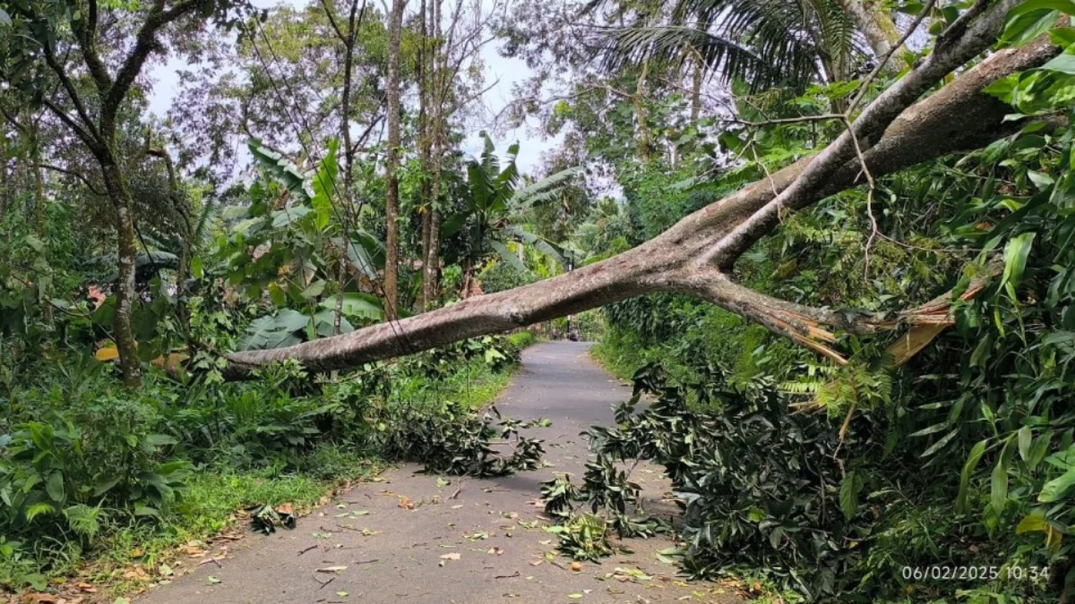 Enam Desa Terdampak Angin Kencang