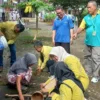 Demam berdarah dengue