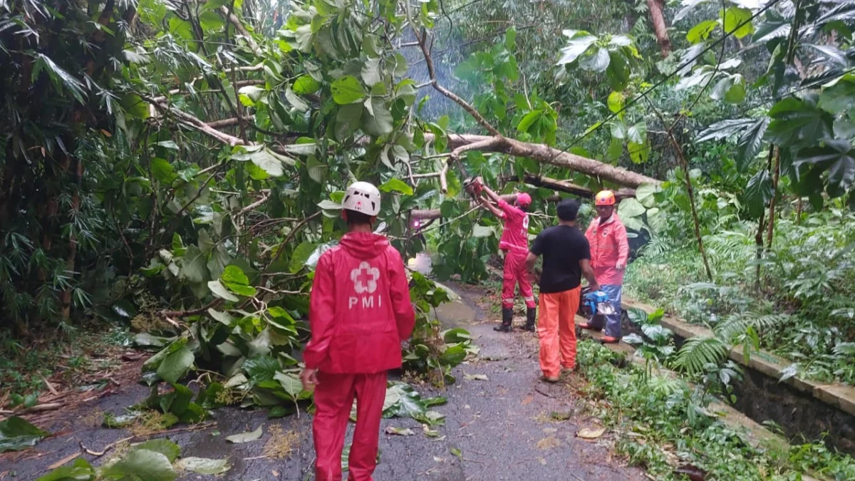 Hujan deras disertai angin