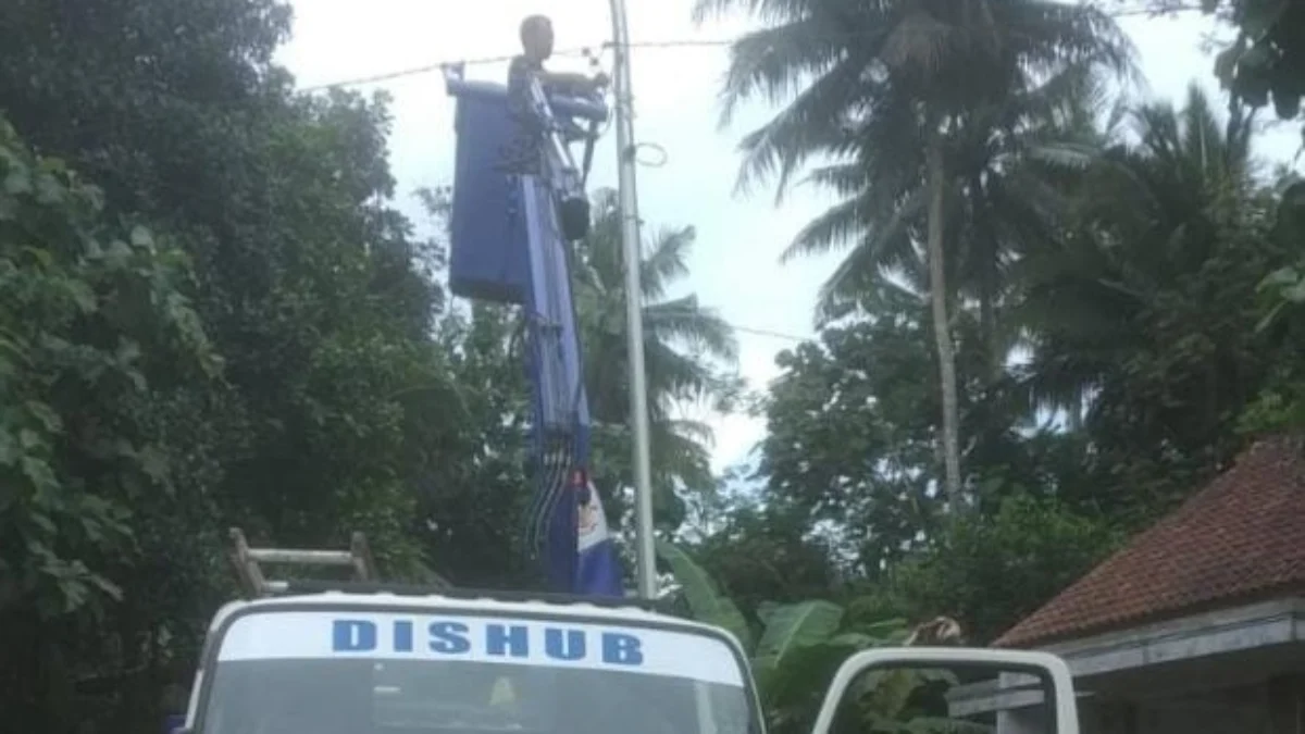 Pju rusak tertimpa pohon