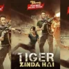 Tiger Zinda Hai (instagram.com @antv)