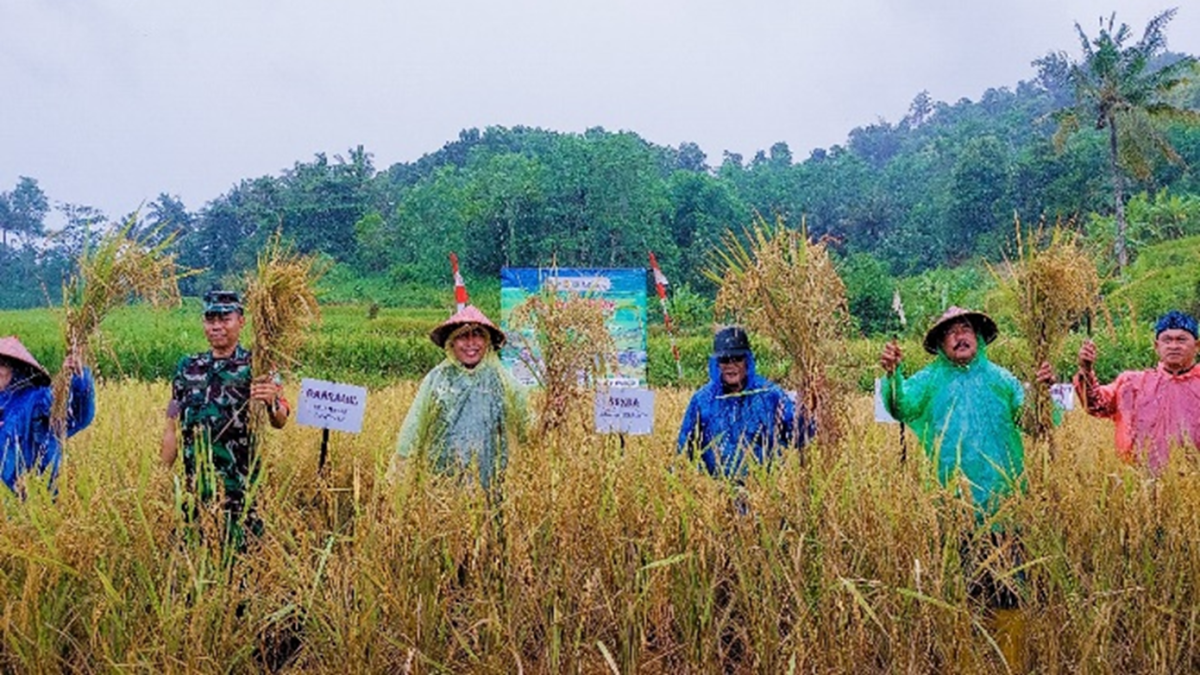 Peraturan Desa