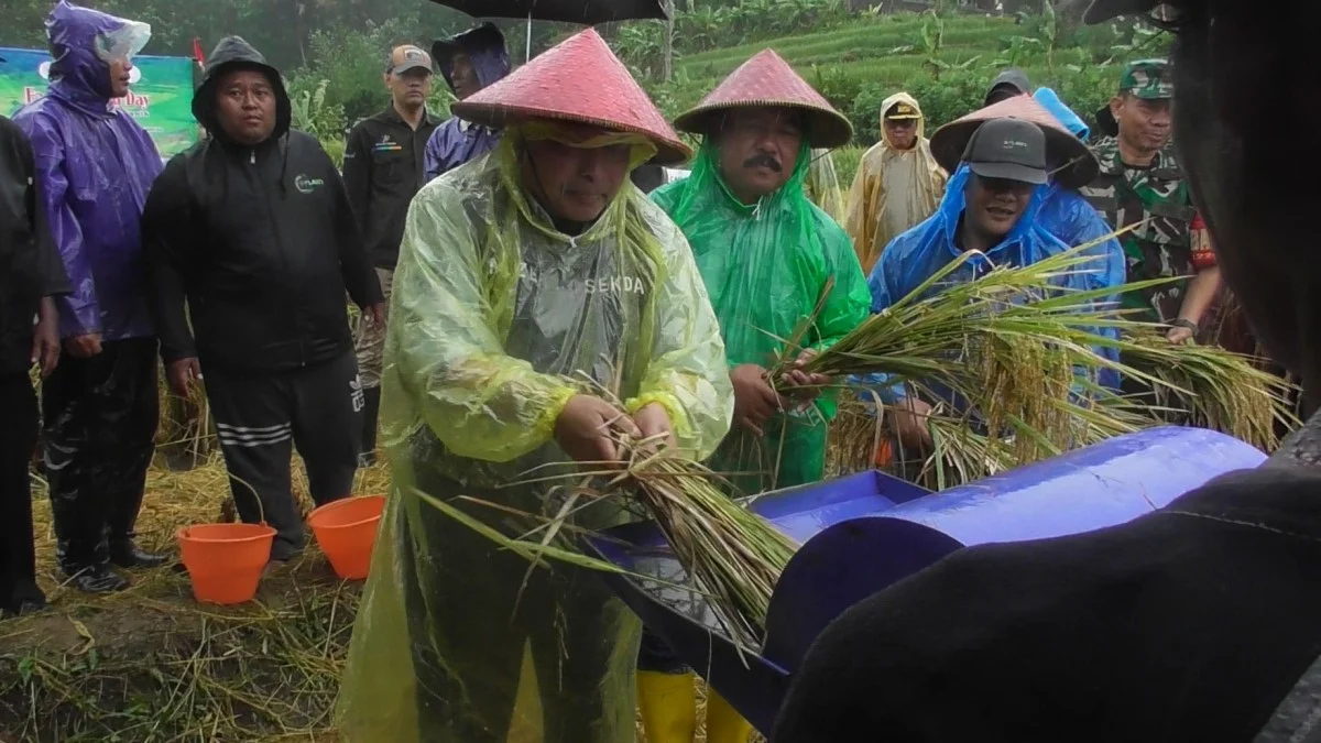 Program ASN Konsumsi Beras Organik