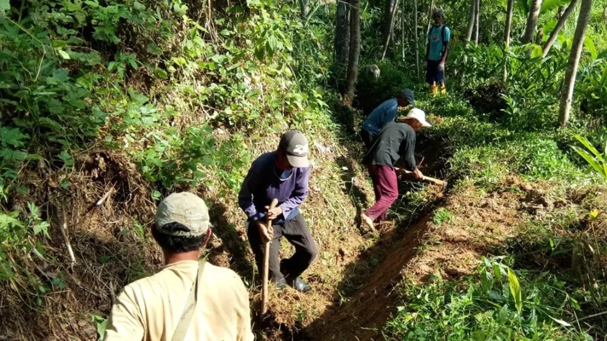 tenaga kerja lokal