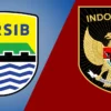 Pemain naturalisasi timnas Indonesia asal Belanda resmi dikontrak Persib