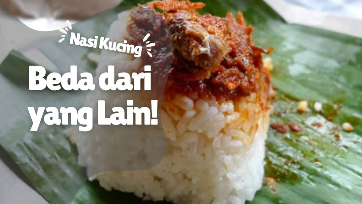 Nasi Kucing Pake Nasi Lemak