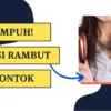 Rambut Kering dan Rontok