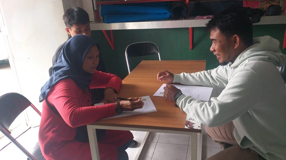 akademi persikotas