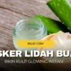 masker lidah buaya